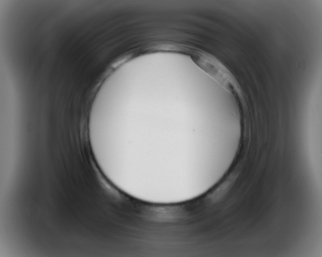 X0000086251433200704261927