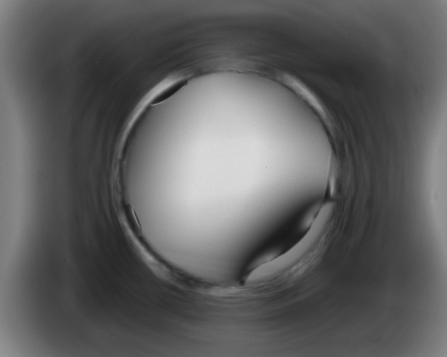 X0000086251434200704261927