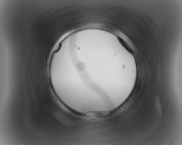 X0000086251436200704261927