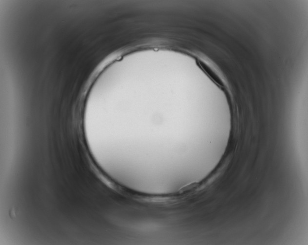 X0000086251437200704261927