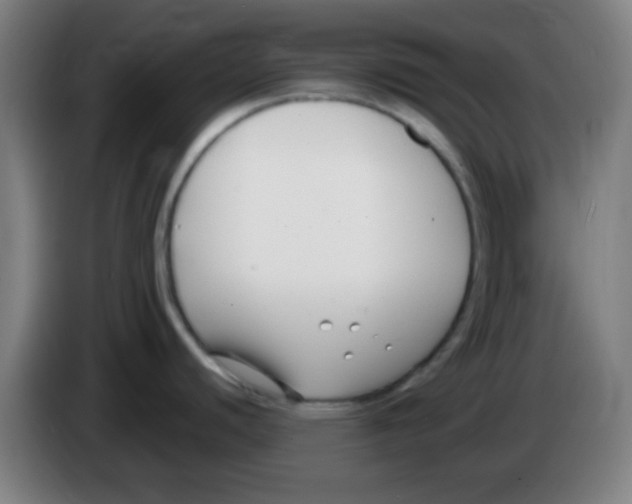 X0000086251440200704261927