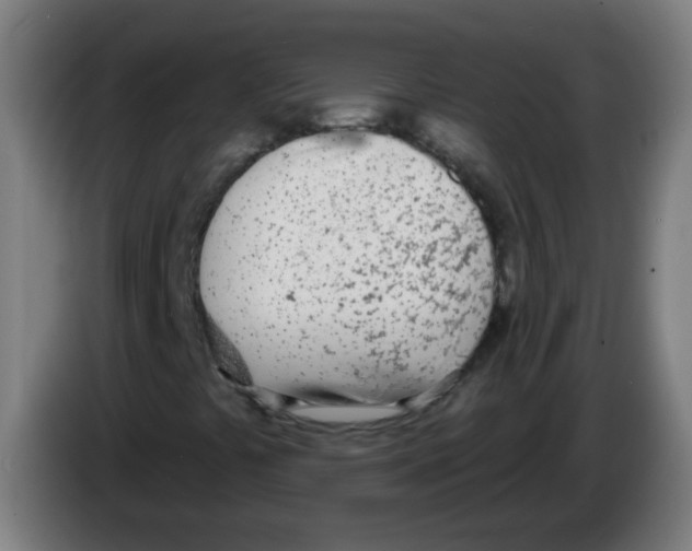 X0000086251441200704261926