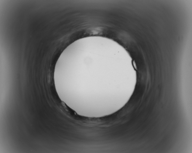 X0000086251442200704261926