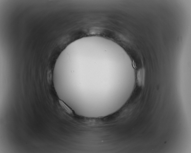X0000086251443200704261926