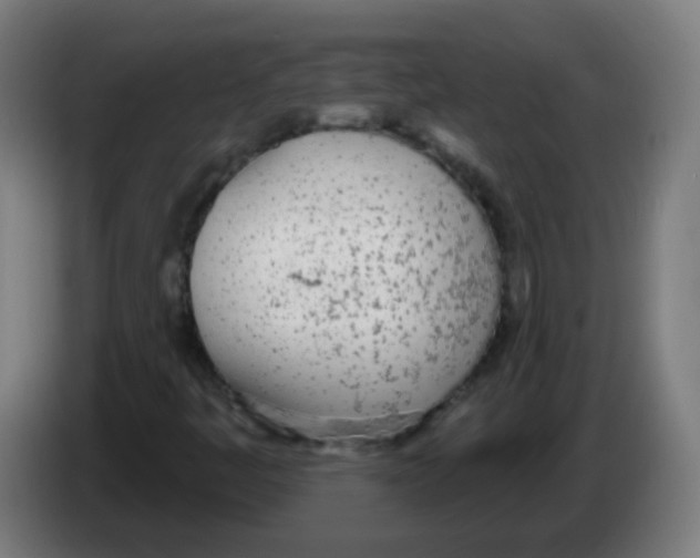 X0000086251445200704261926