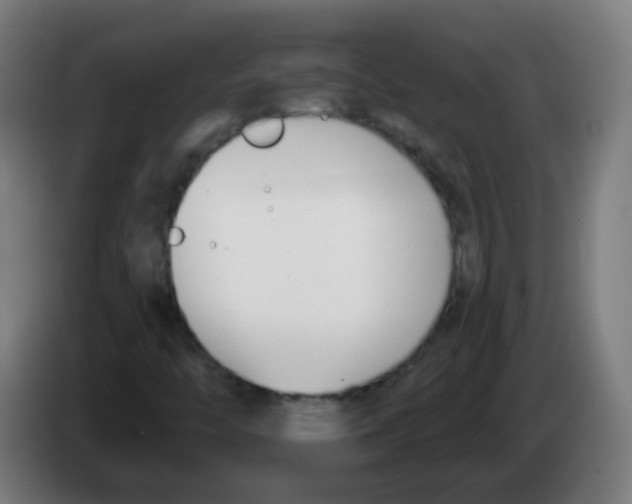 X0000086251446200704261926
