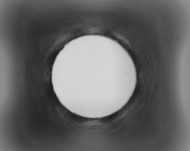 X0000086251447200704261926