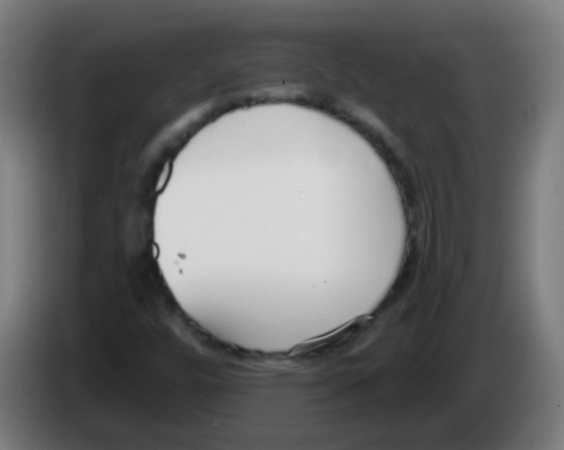 X0000086251448200704261926