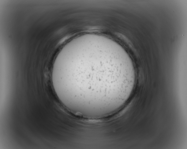 X0000086251449200704261926