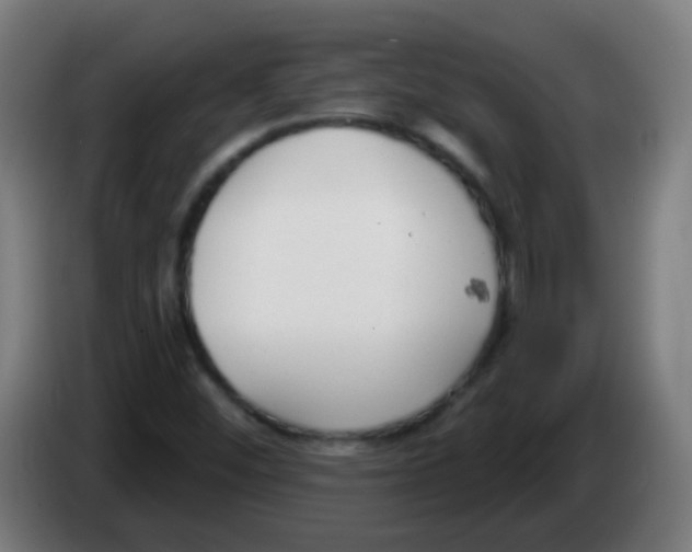 X0000086251452200704261926