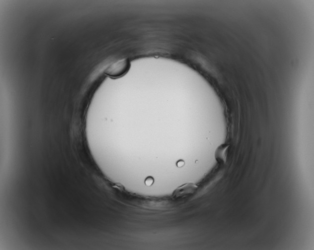 X0000086251453200704261926