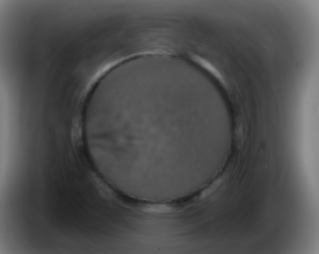 X0000086251455200704261926