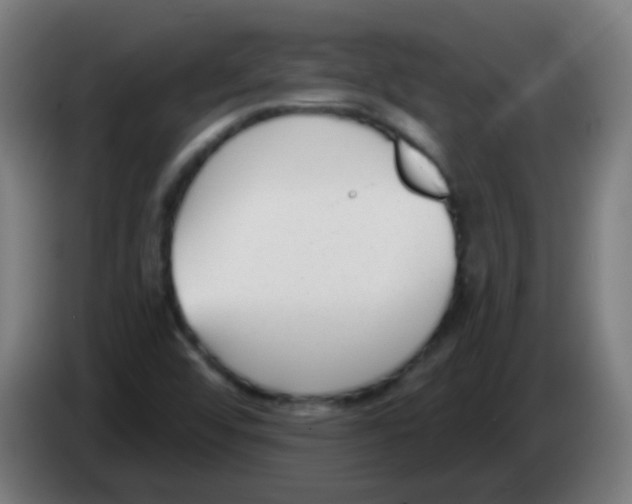 X0000086251456200704261926