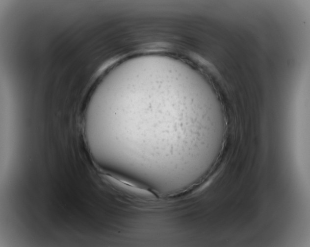 X0000086251457200704261926