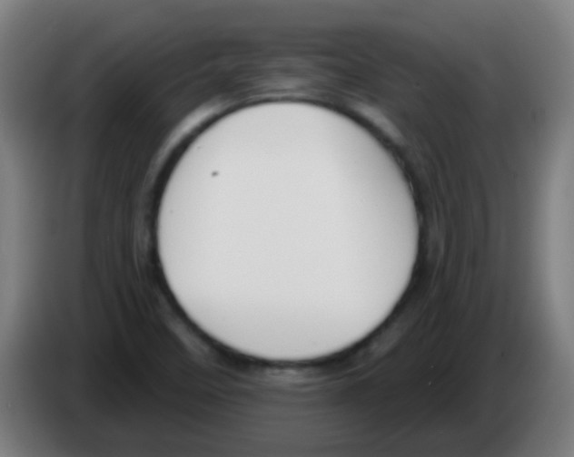 X0000086251458200704261926