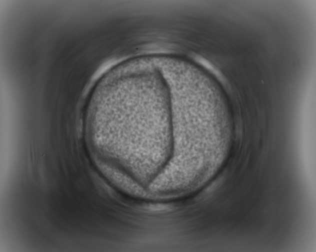 X0000086251459200704261926