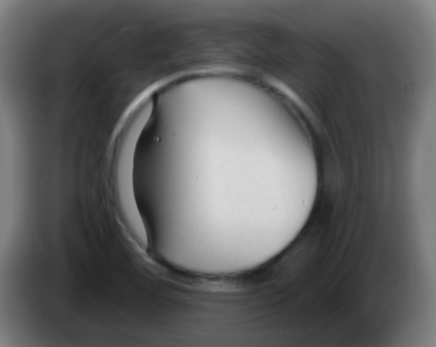 X0000086251460200704261926