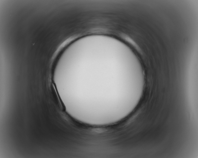 X0000086251461200704261926