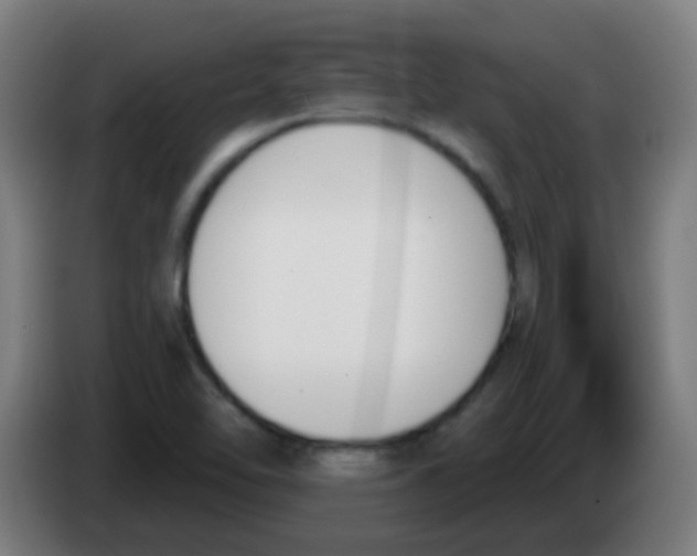 X0000086251462200704261926