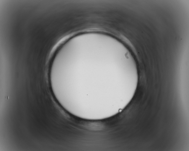 X0000086251464200704261926
