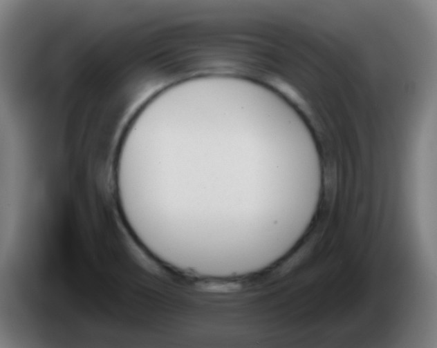 X0000086251466200704261926