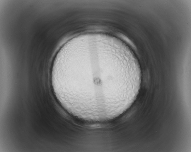 X0000086251467200704261926