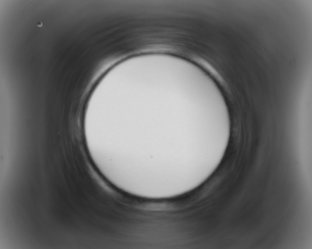 X0000086251468200704261926