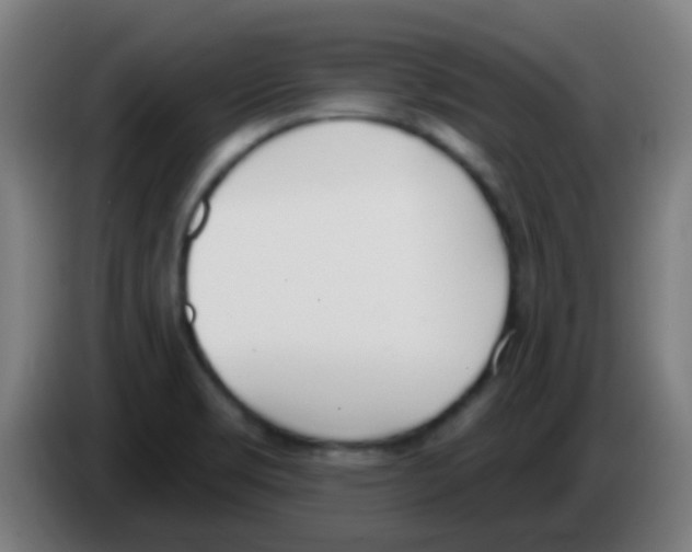 X0000086251469200704261926