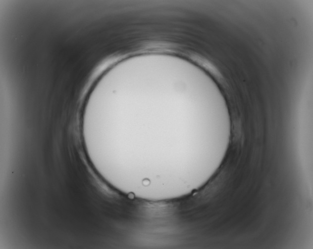X0000086251470200704261926