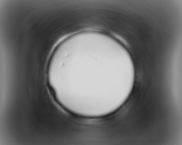 X0000086251471200704261926