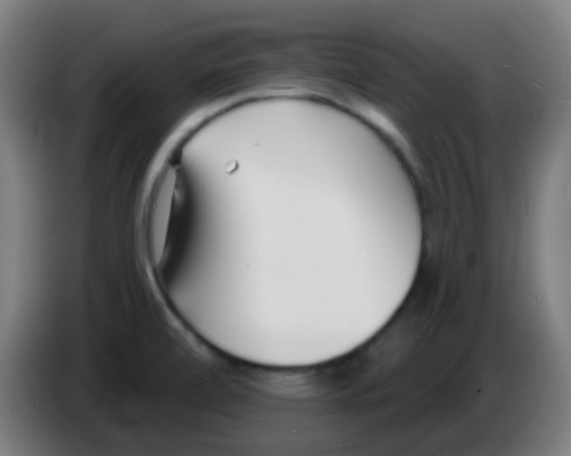 X0000086251472200704261926