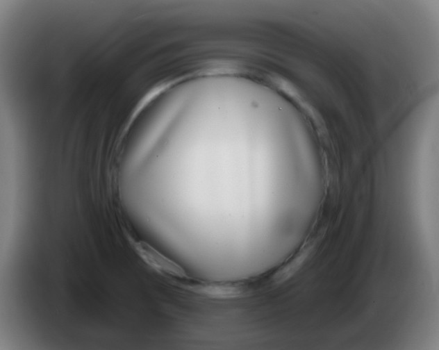 X0000086251473200704261926