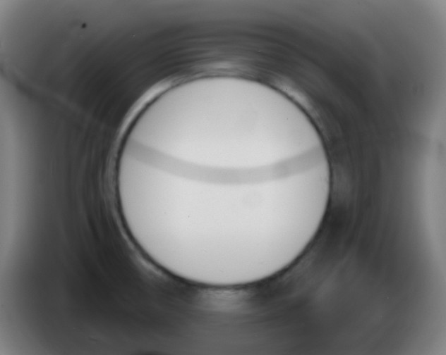 X0000086251474200704261926