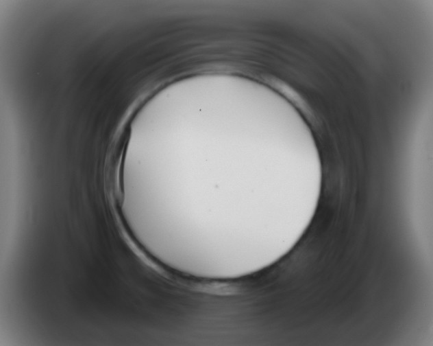X0000086251476200704261926