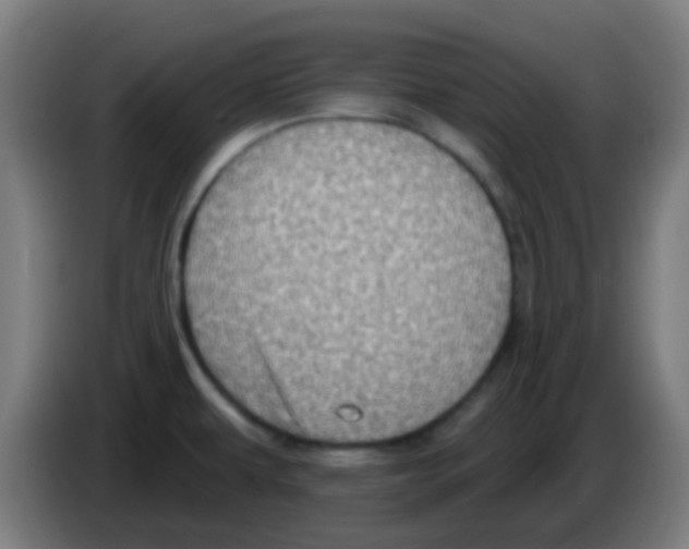 X0000086251479200704261926