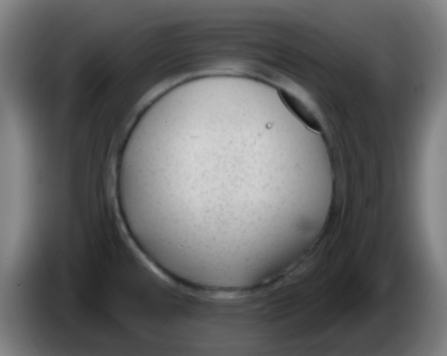 X0000086251480200704261926