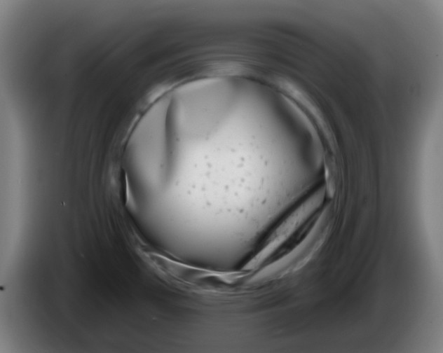 X0000086251481200704261926