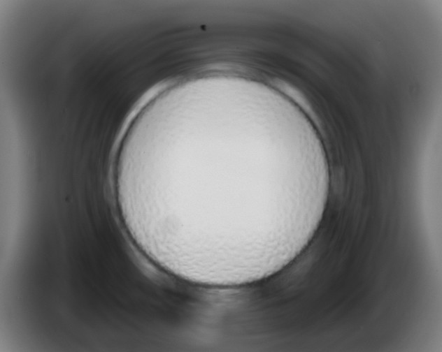 X0000086251482200704261926