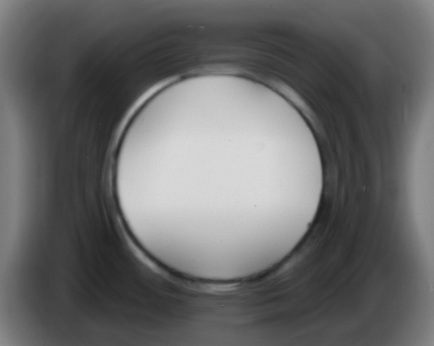 X0000086251484200704261926