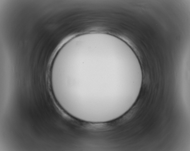 X0000086251486200704261926