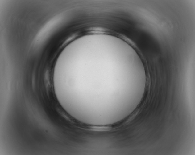 X0000086251487200704261926