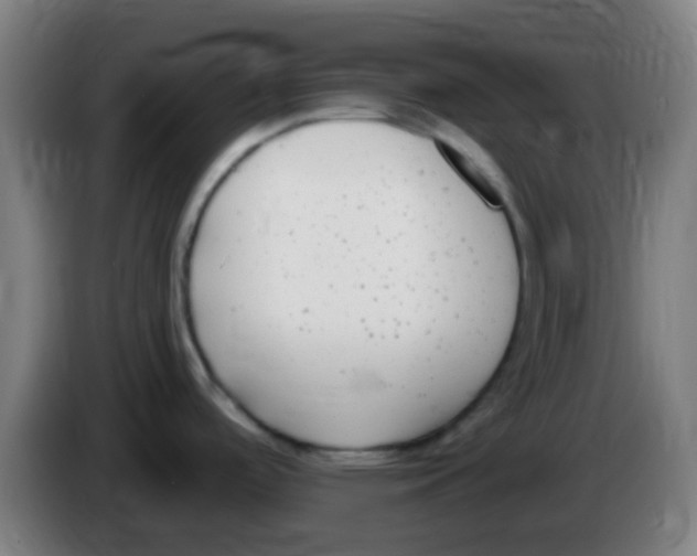 X0000086251488200704261926