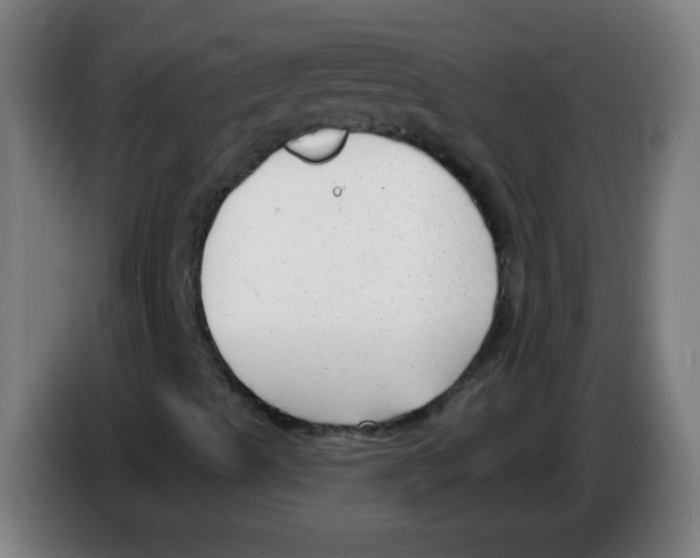 X0000086251489200704261925