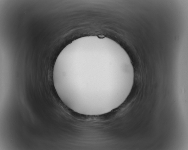 X0000086251490200704261925