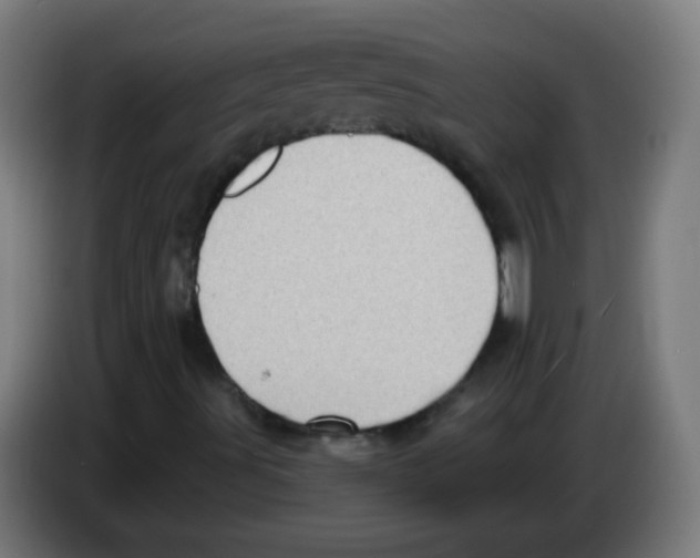 X0000086251491200704261925