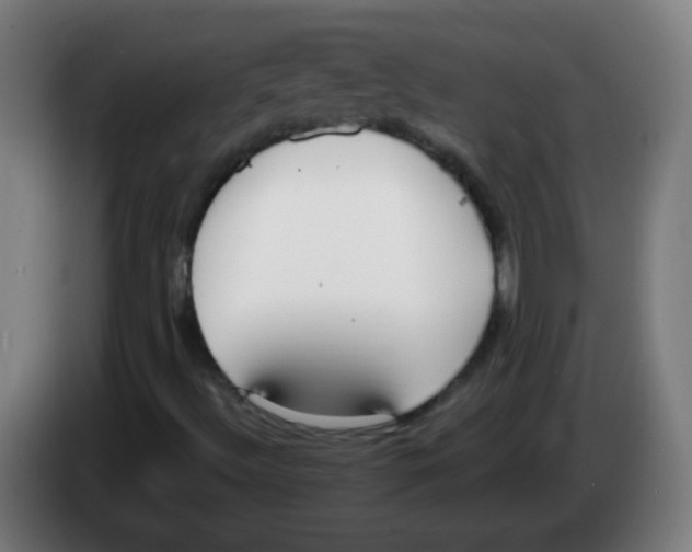 X0000086251492200704261925
