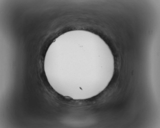 X0000086251493200704261925