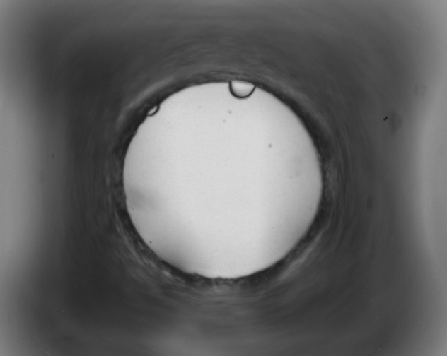X0000086251494200704261925