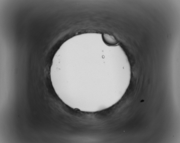 X0000086251495200704261925