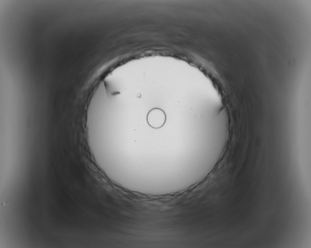 X0000086251496200704261925